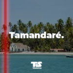 Tamandaré